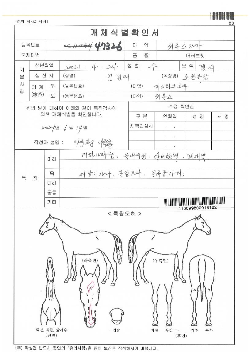 ºñÄÉÀÌ·º½ºÀÇ Ãø¸é,¿ì¸é,µÞ¸é,µÎ»ó,´Ù¸®ÀÇ Æ¯Â¡µµÇØ