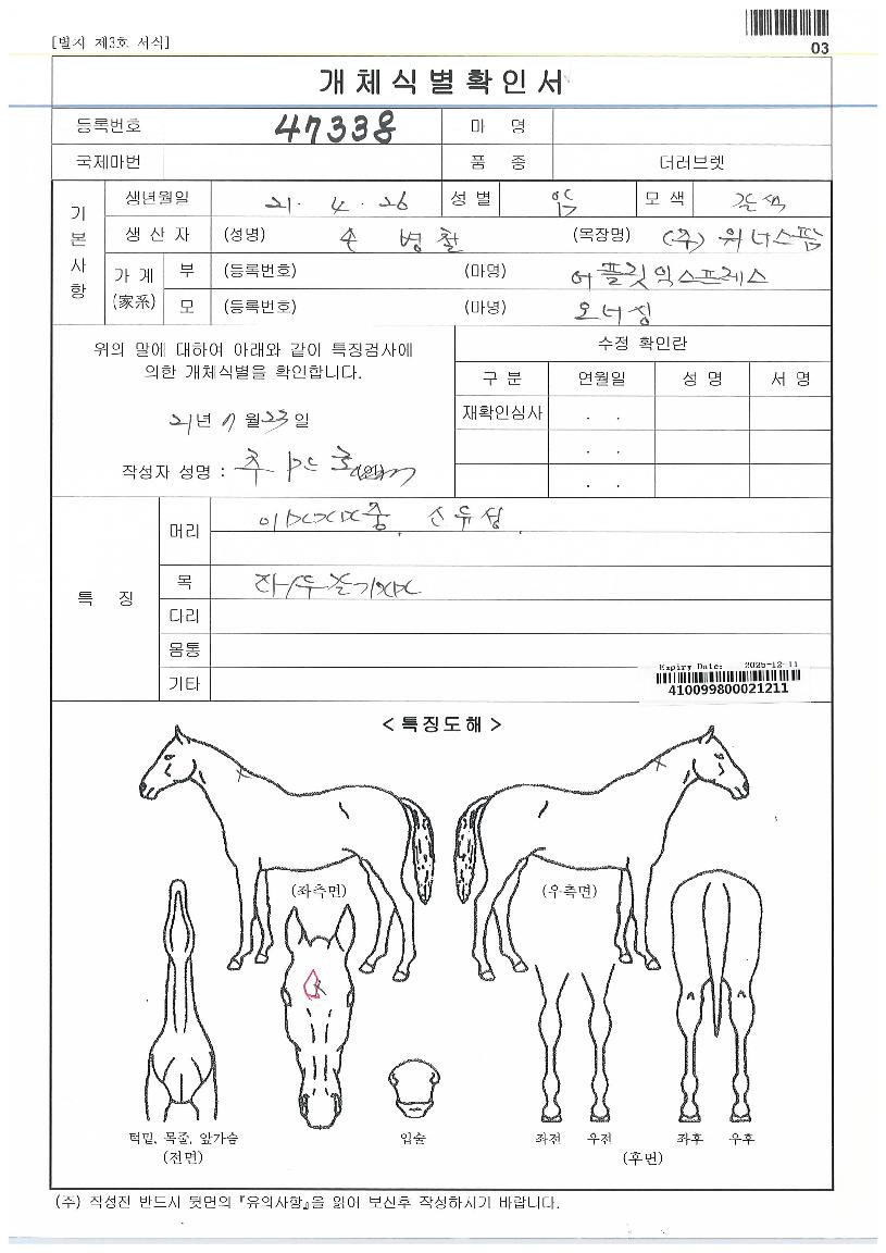 ���ʽ��ڸ��� ����,���,�޸�,�λ�,�ٸ��� Ư¡����