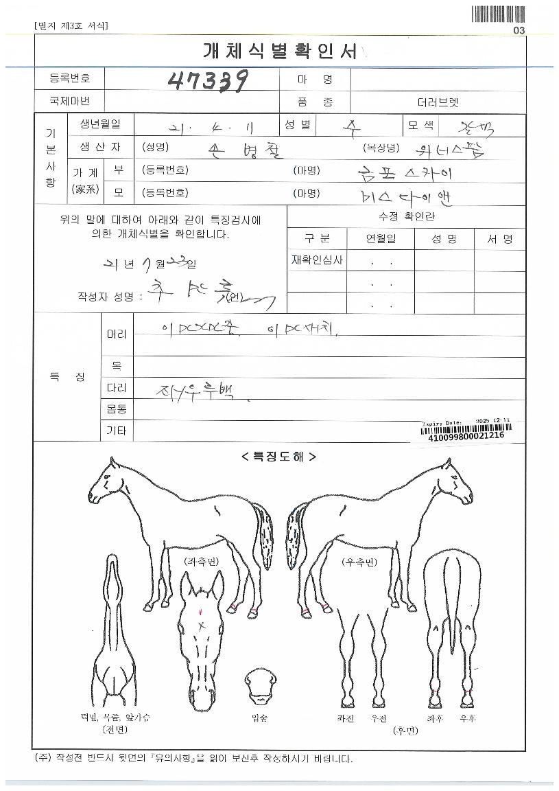 ĸƾ���̾��� ����,���,�޸�,�λ�,�ٸ��� Ư¡����