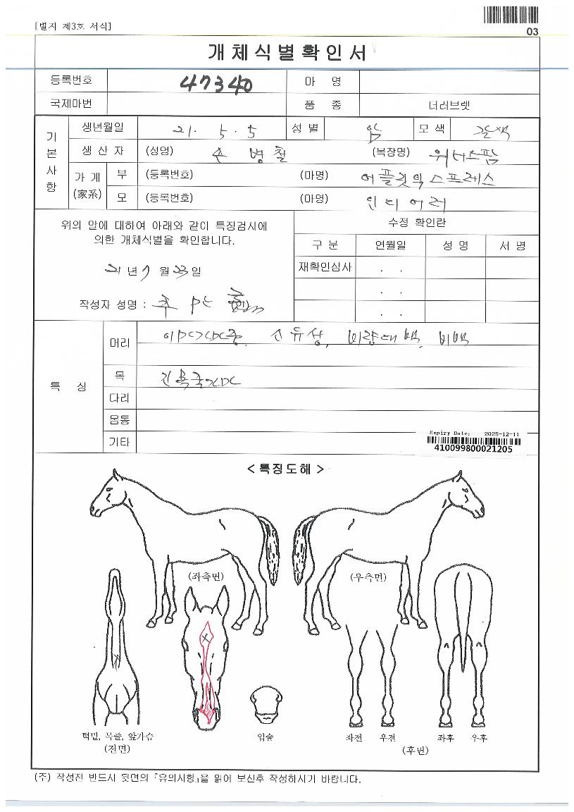 �극�̺��Ű�� ����,���,�޸�,�λ�,�ٸ��� Ư¡����