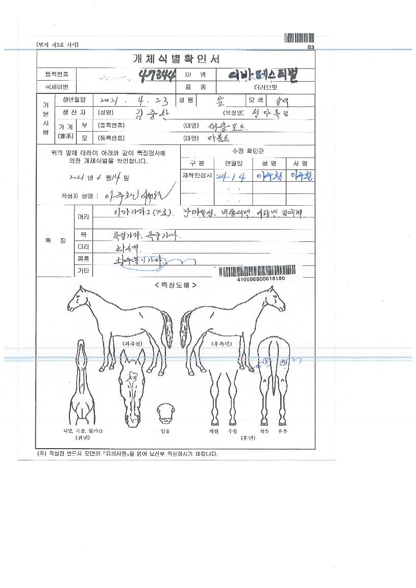 ����佺Ƽ���� ����,���,�޸�,�λ�,�ٸ��� Ư¡����