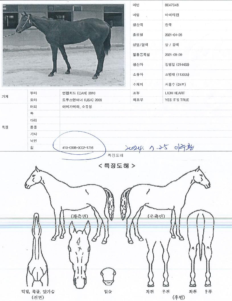 ����Ƽĸ�� ����,���,�޸�,�λ�,�ٸ��� Ư¡����