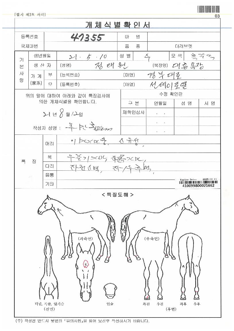 ¿ÀÇ·±ÀÇ Ãø¸é,¿ì¸é,µÞ¸é,µÎ»ó,´Ù¸®ÀÇ Æ¯Â¡µµÇØ