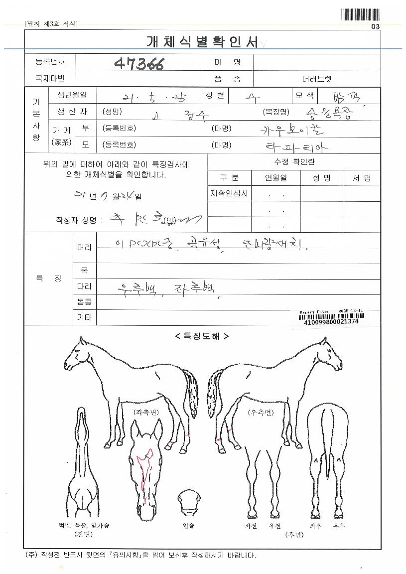 ���½�ī���� ����,���,�޸�,�λ�,�ٸ��� Ư¡����