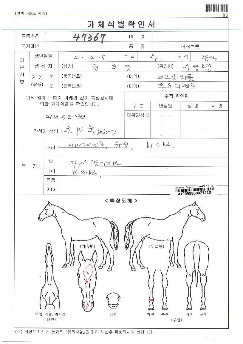 ¼±ÍÆÛÆåÆ®ÀÇ Ãø¸é,¿ì¸é,µÞ¸é,µÎ»ó,´Ù¸®ÀÇ Æ¯Â¡µµÇØ