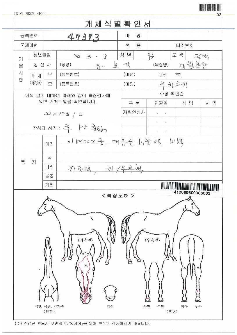 ·çŰ·ÎŰÀÚ¸¶ÀÇ Ãø¸é,¿ì¸é,µÞ¸é,µÎ»ó,´Ù¸®ÀÇ Æ¯Â¡µµÇØ