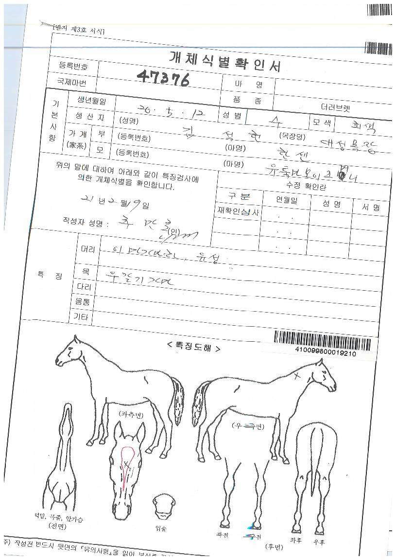 ������������ ����,���,�޸�,�λ�,�ٸ��� Ư¡����