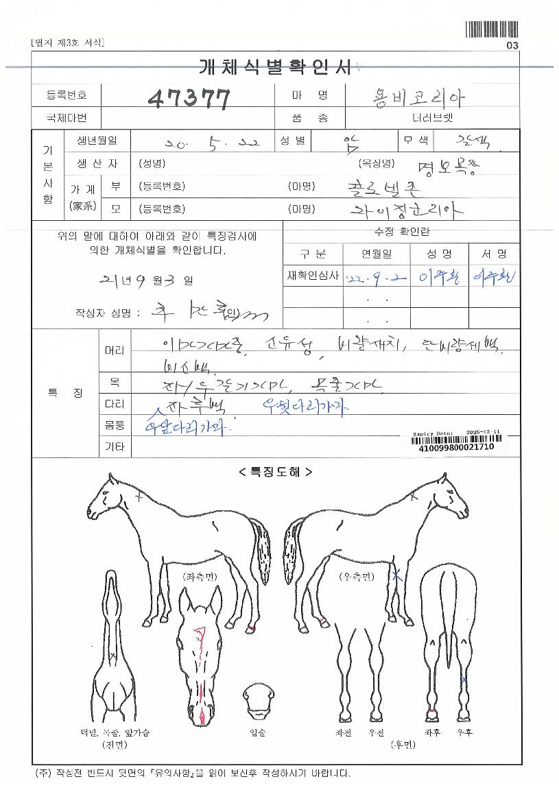 ¿ëºñÄÚ¸®¾ÆÀÇ Ãø¸é,¿ì¸é,µÞ¸é,µÎ»ó,´Ù¸®ÀÇ Æ¯Â¡µµÇØ