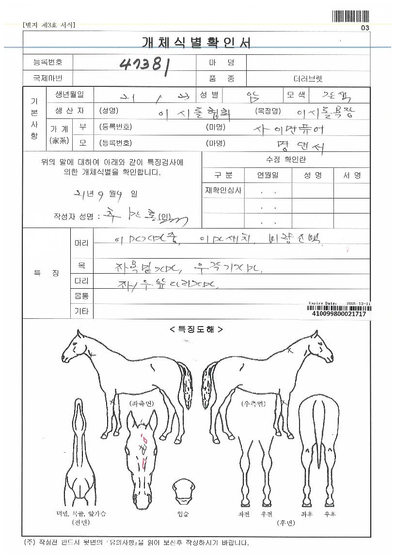 ǻ������� ����,���,�޸�,�λ�,�ٸ��� Ư¡����