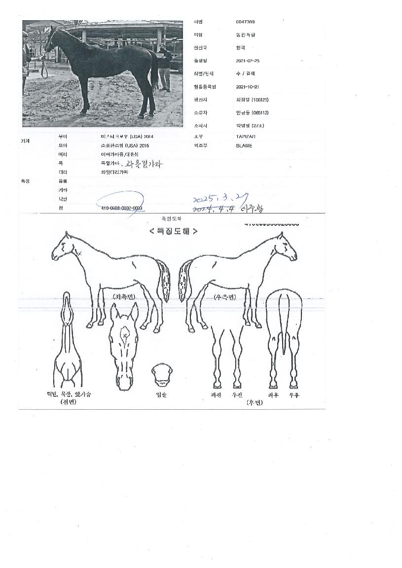 ����Ư���� ����,���,�޸�,�λ�,�ٸ��� Ư¡����