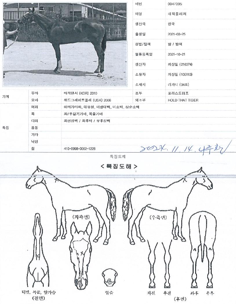 �����÷����� ����,���,�޸�,�λ�,�ٸ��� Ư¡����