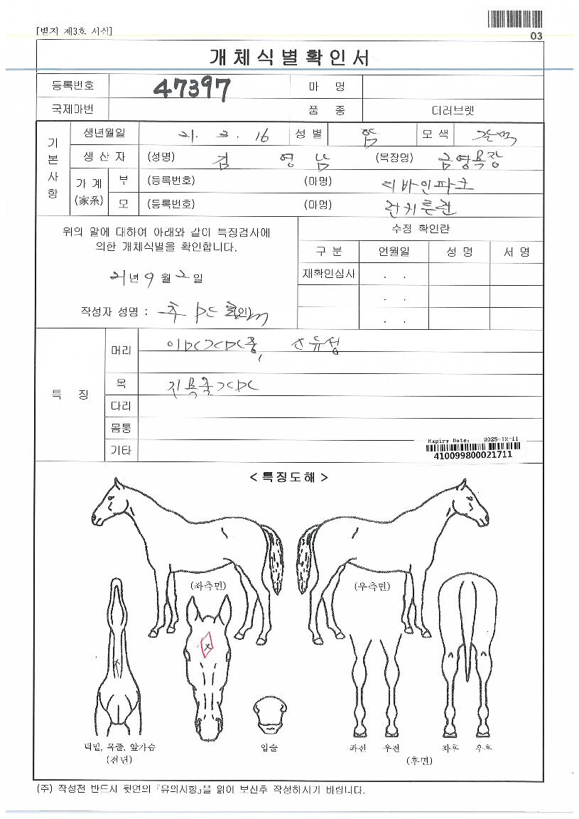 ���̳η��� ����,���,�޸�,�λ�,�ٸ��� Ư¡����