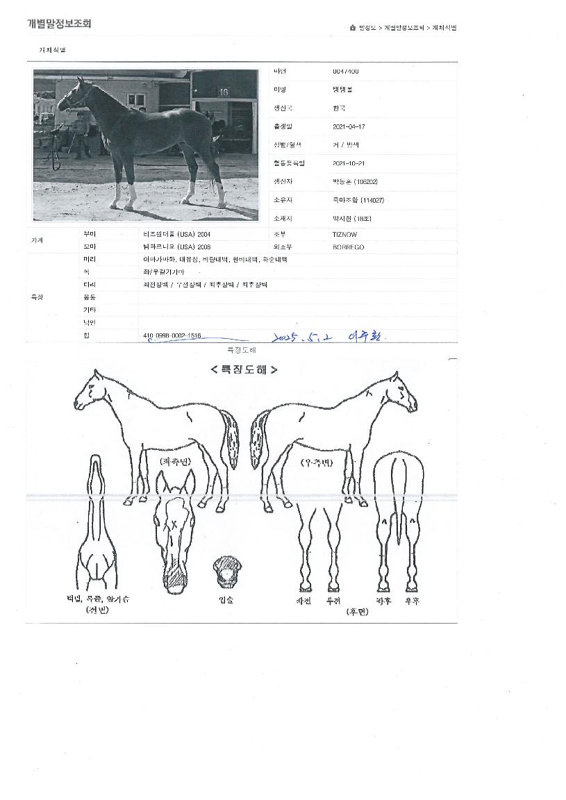 ���ʺ��� ����,���,�޸�,�λ�,�ٸ��� Ư¡����