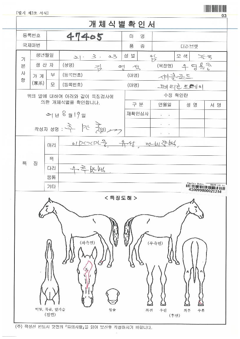 Äý·Î·»½ºÀÇ Ãø¸é,¿ì¸é,µÞ¸é,µÎ»ó,´Ù¸®ÀÇ Æ¯Â¡µµÇØ