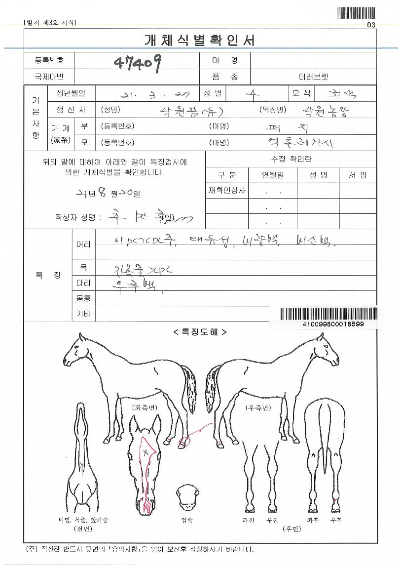 µ¹¾Æ¿Â»ï¼ÕÀÇ Ãø¸é,¿ì¸é,µÞ¸é,µÎ»ó,´Ù¸®ÀÇ Æ¯Â¡µµÇØ