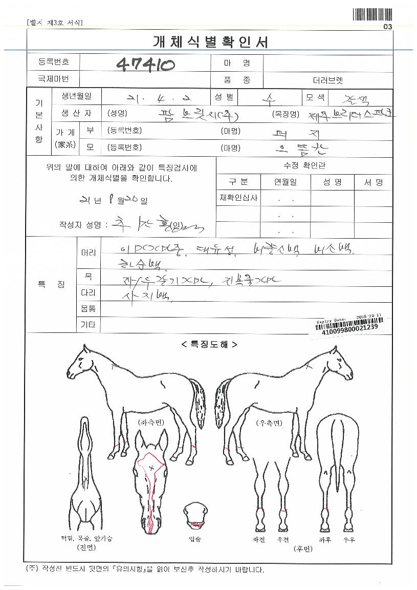 ³×¹ö½ºÅéÈñ¸ÁÀÇ Ãø¸é,¿ì¸é,µÞ¸é,µÎ»ó,´Ù¸®ÀÇ Æ¯Â¡µµÇØ