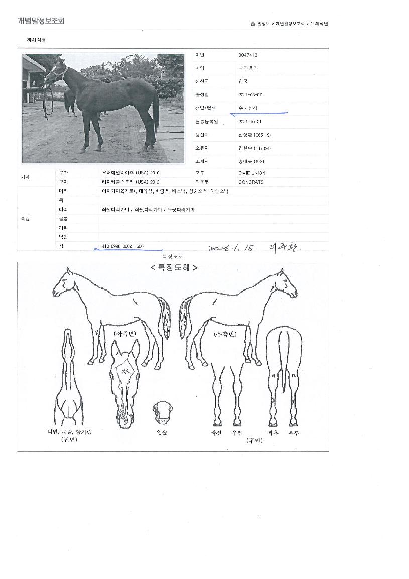 ����ö��� ����,���,�޸�,�λ�,�ٸ��� Ư¡����