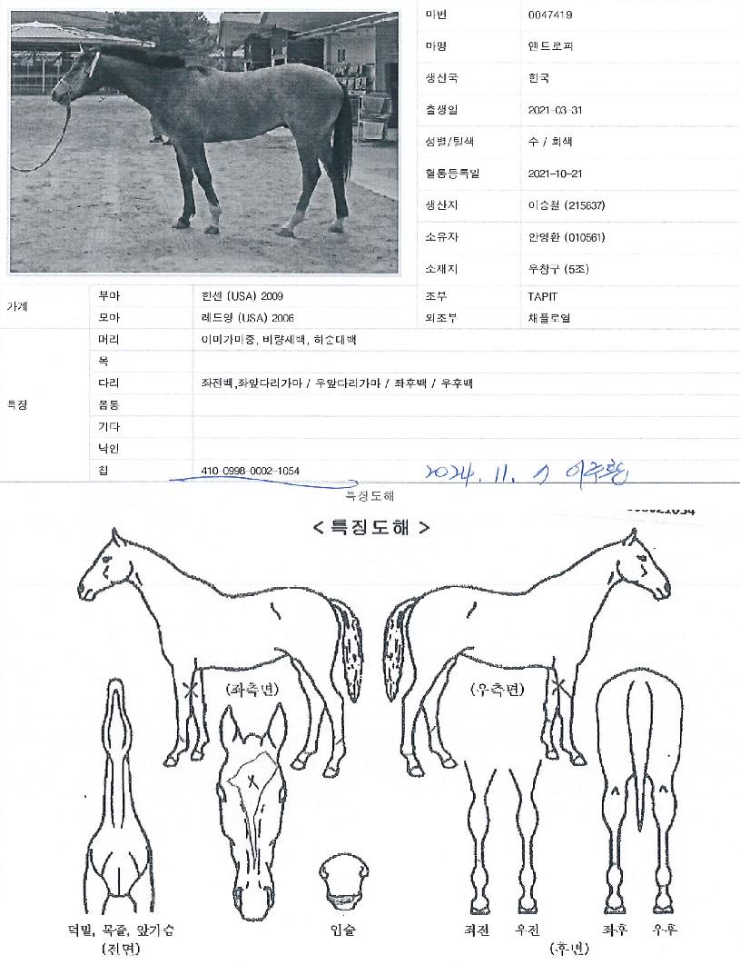 ¿£Æ®·ÎÇÇÀÇ Ãø¸é,¿ì¸é,µÞ¸é,µÎ»ó,´Ù¸®ÀÇ Æ¯Â¡µµÇØ