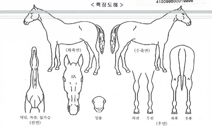 ����Ÿ�� ����,���,�޸�,�λ�,�ٸ��� Ư¡����