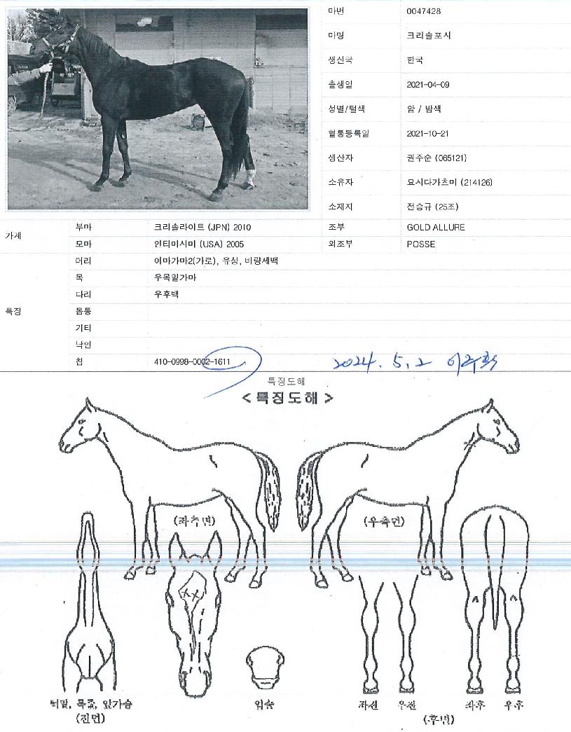 ũ���������� ����,���,�޸�,�λ�,�ٸ��� Ư¡����