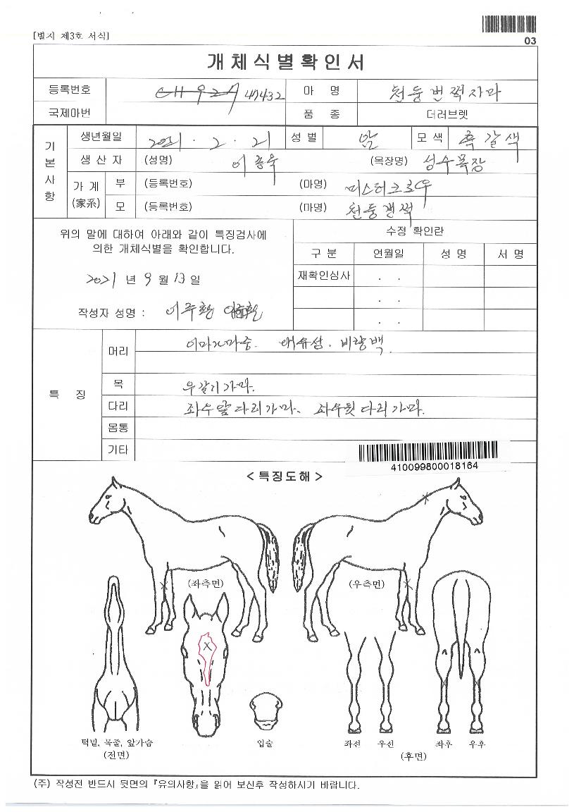 �����ӽ��� ����,���,�޸�,�λ�,�ٸ��� Ư¡����