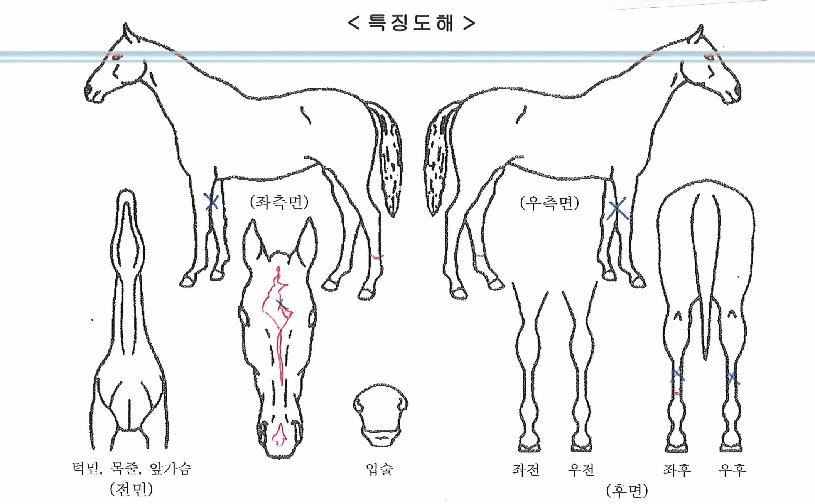 ��ƼǮȭ���� ����,���,�޸�,�λ�,�ٸ��� Ư¡����