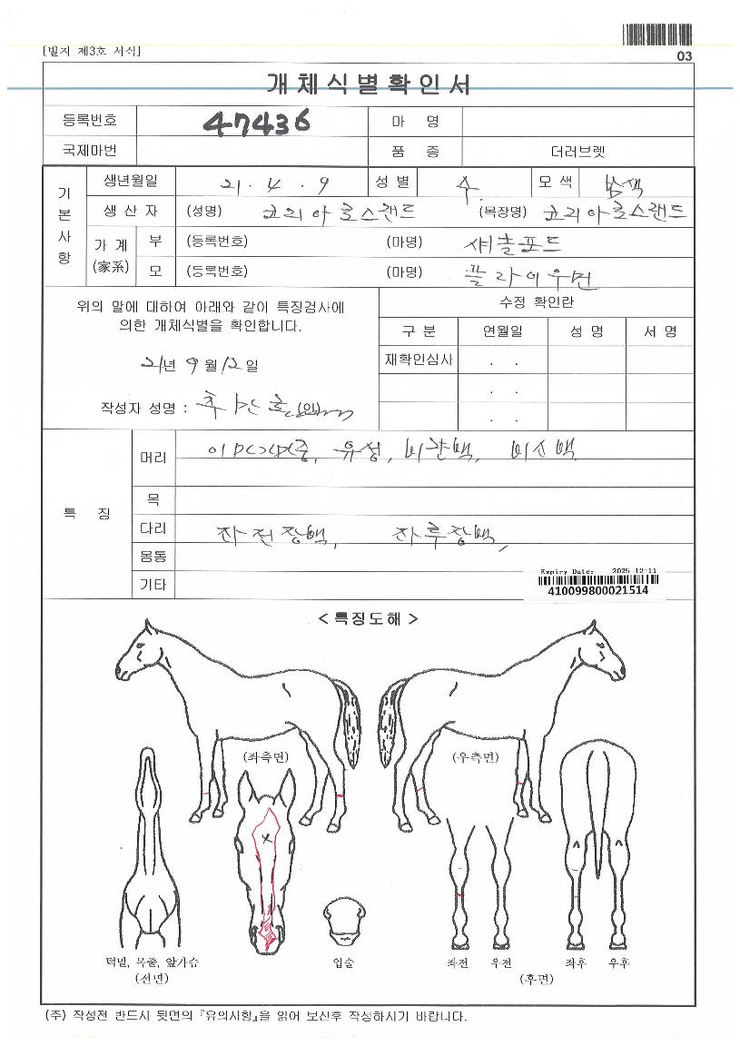 �ö��̿���ڸ��� ����,���,�޸�,�λ�,�ٸ��� Ư¡����