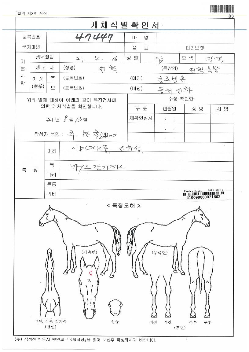 µ¿¼½ÅÈÀÚ¸¶ÀÇ Ãø¸é,¿ì¸é,µÞ¸é,µÎ»ó,´Ù¸®ÀÇ Æ¯Â¡µµÇØ