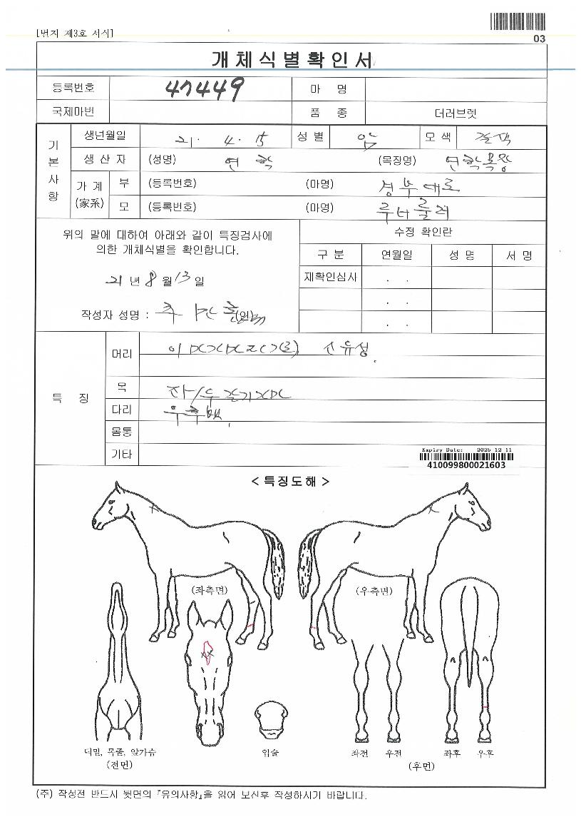 �����̱��� ����,���,�޸�,�λ�,�ٸ��� Ư¡����