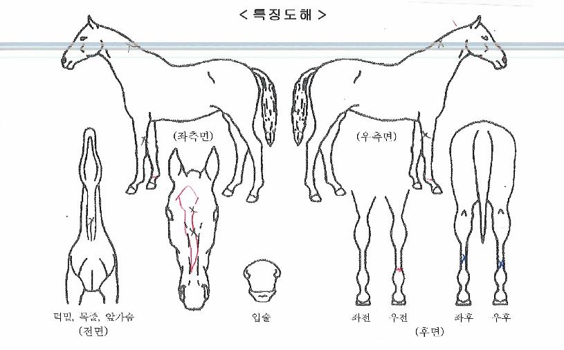 �������Ϸ����� ����,���,�޸�,�λ�,�ٸ��� Ư¡����