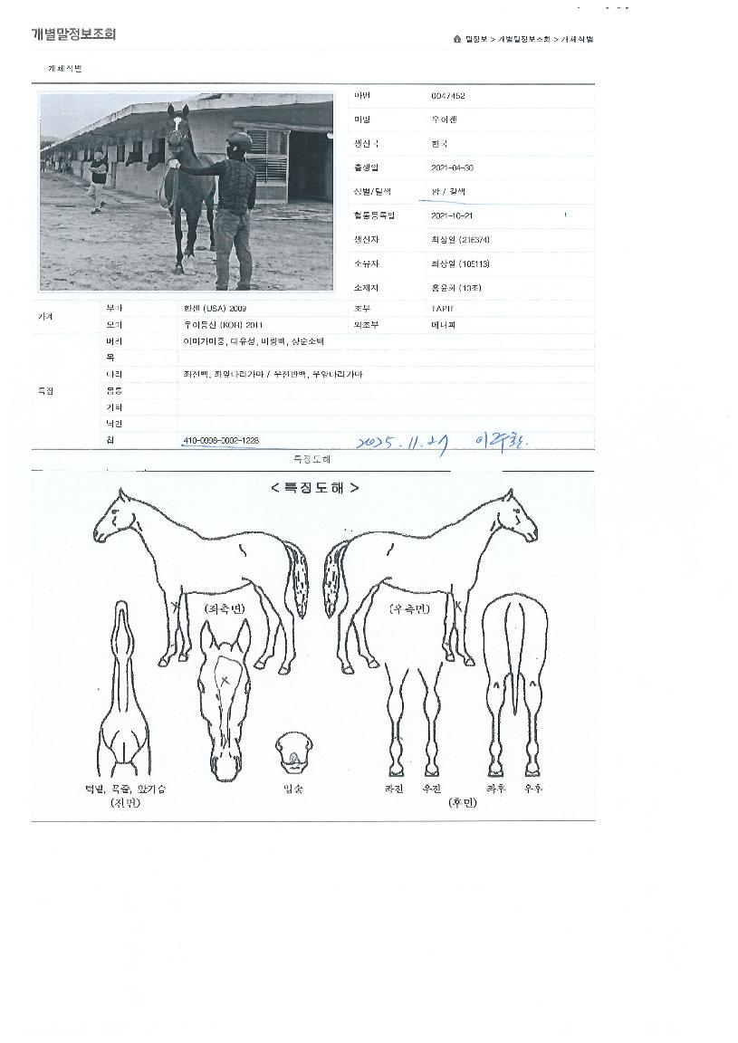 ¿ì¾Æ¼¾ÀÇ Ãø¸é,¿ì¸é,µÞ¸é,µÎ»ó,´Ù¸®ÀÇ Æ¯Â¡µµÇØ