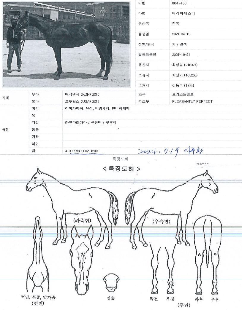 ¸ÅÁ÷¸¶Á¦½ºÆ¼ÀÇ Ãø¸é,¿ì¸é,µÞ¸é,µÎ»ó,´Ù¸®ÀÇ Æ¯Â¡µµÇØ