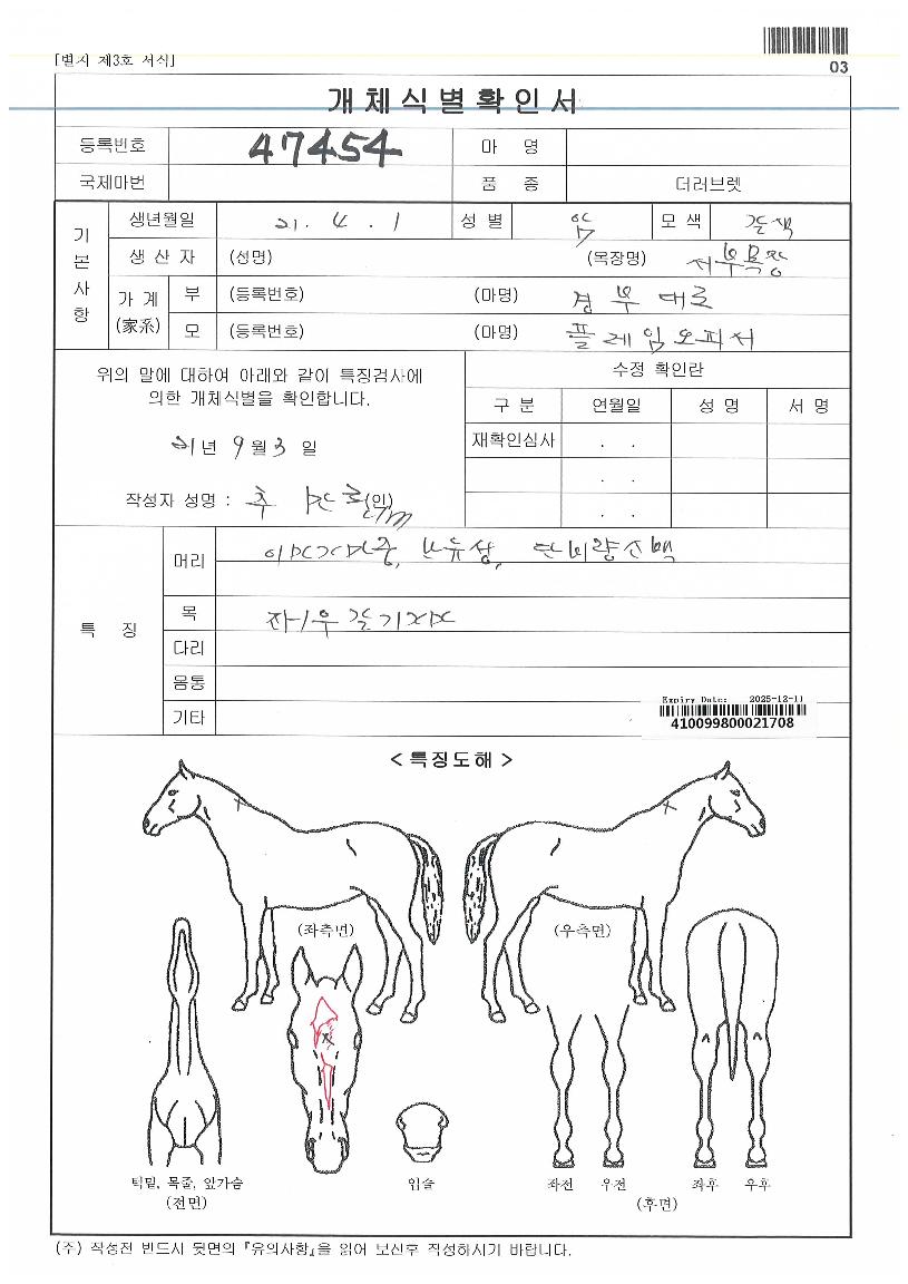 ¼ºÎÇ÷¹ÀÓÀÇ Ãø¸é,¿ì¸é,µÞ¸é,µÎ»ó,´Ù¸®ÀÇ Æ¯Â¡µµÇØ