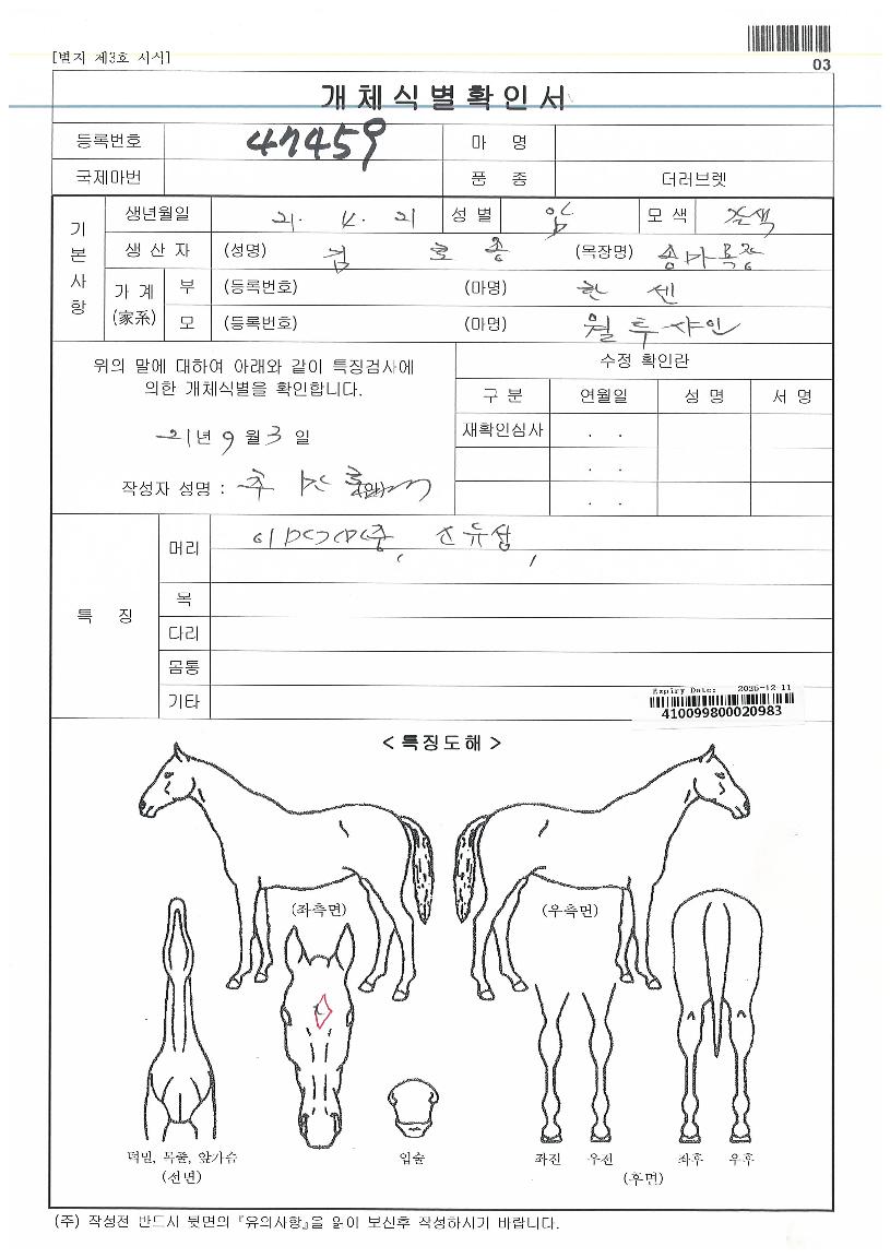 Èñ¸ÁĵµðÀÇ Ãø¸é,¿ì¸é,µÞ¸é,µÎ»ó,´Ù¸®ÀÇ Æ¯Â¡µµÇØ