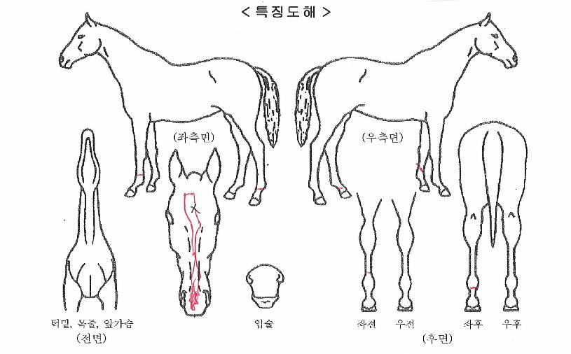 �����̺��� ����,���,�޸�,�λ�,�ٸ��� Ư¡����