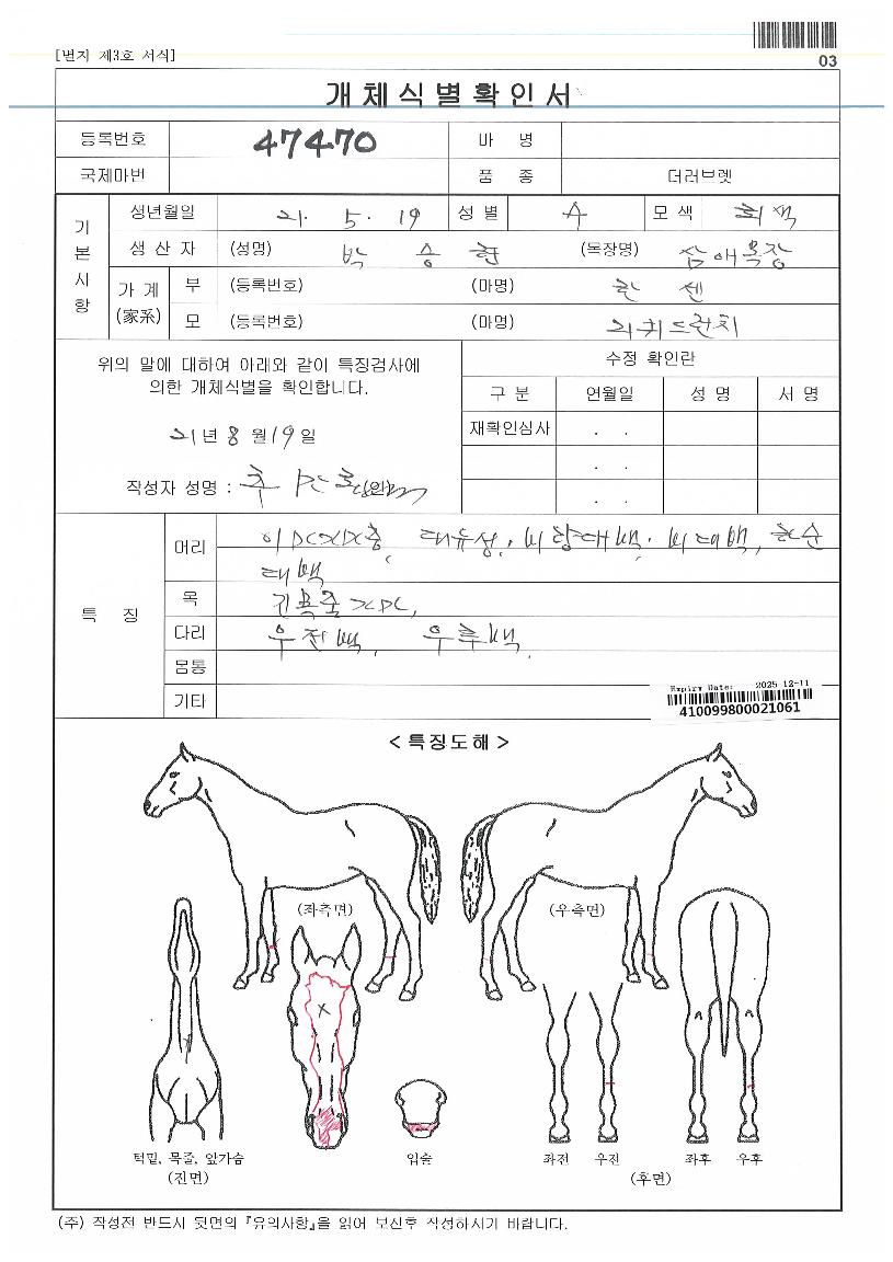 ��Ÿ�轺�� ����,���,�޸�,�λ�,�ٸ��� Ư¡����