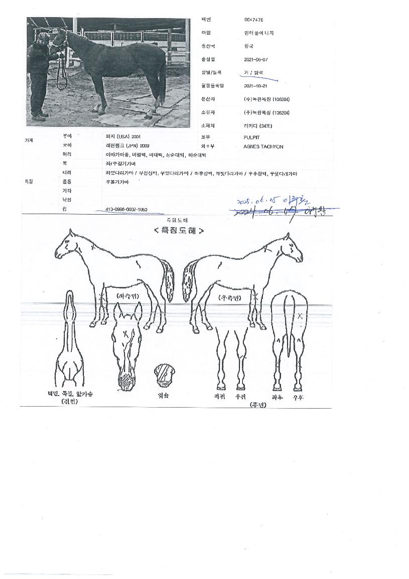 ����Ǯ�������� ����,���,�޸�,�λ�,�ٸ��� Ư¡����