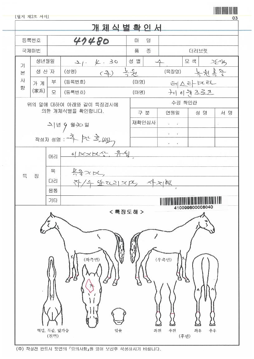 ÄÉÀÌ·£Áî·ÎÁîÀÚ¸¶ÀÇ Ãø¸é,¿ì¸é,µÞ¸é,µÎ»ó,´Ù¸®ÀÇ Æ¯Â¡µµÇØ