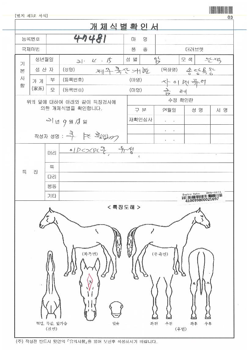 »çÀ̸սºÅ¸ÀÇ Ãø¸é,¿ì¸é,µÞ¸é,µÎ»ó,´Ù¸®ÀÇ Æ¯Â¡µµÇØ