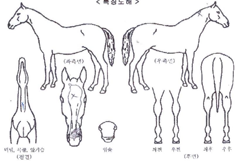 ����̺������� ����,���,�޸�,�λ�,�ٸ��� Ư¡����