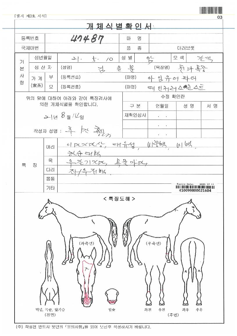 ���ʺ��������� ����,���,�޸�,�λ�,�ٸ��� Ư¡����