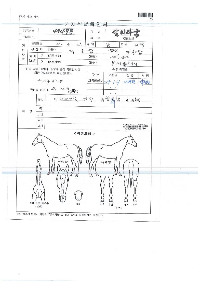 ´Þ¸®´Ù±ÀÀÇ Ãø¸é,¿ì¸é,µÞ¸é,µÎ»ó,´Ù¸®ÀÇ Æ¯Â¡µµÇØ