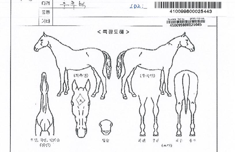 ¿À´ÃÀ̼ø°£ÀÇ Ãø¸é,¿ì¸é,µÞ¸é,µÎ»ó,´Ù¸®ÀÇ Æ¯Â¡µµÇØ