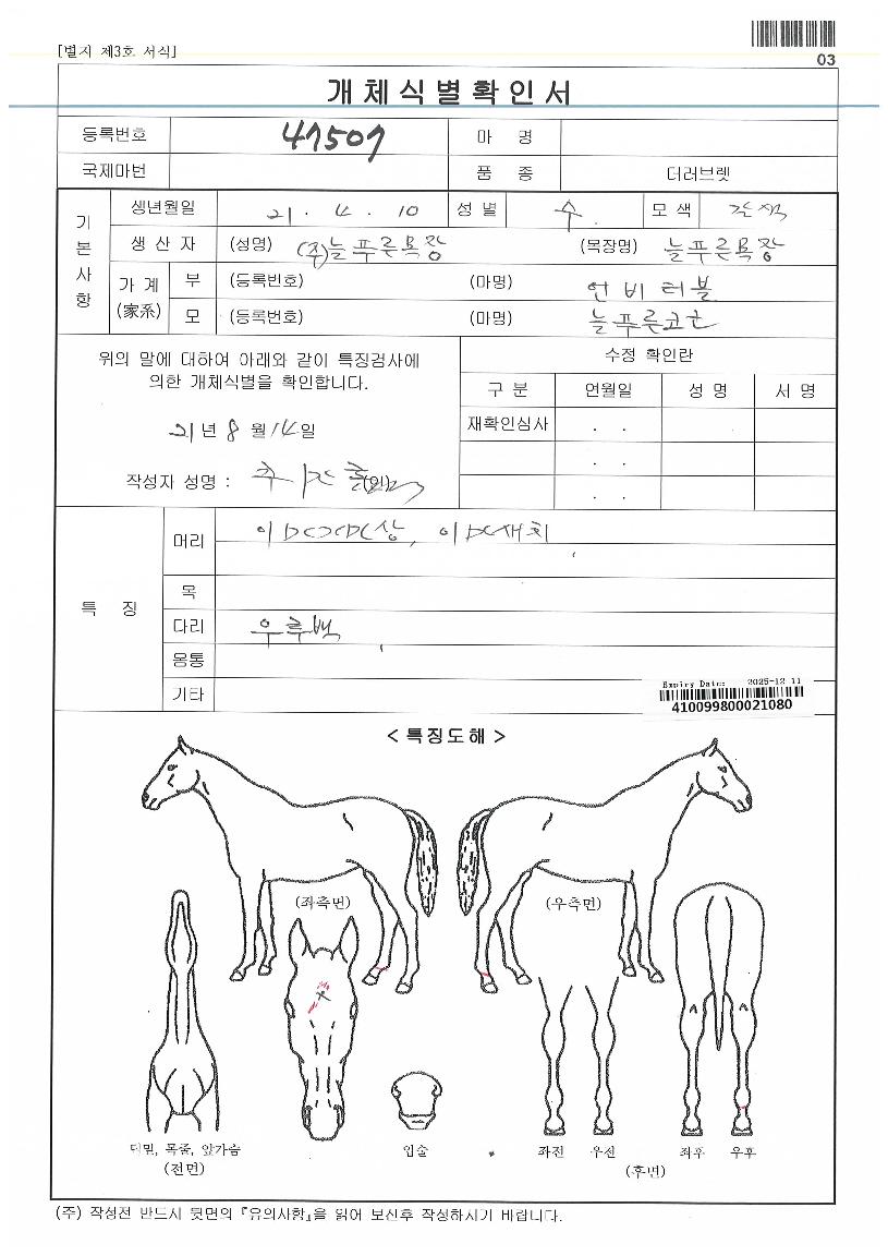 �мǽ�ī���� ����,���,�޸�,�λ�,�ٸ��� Ư¡����