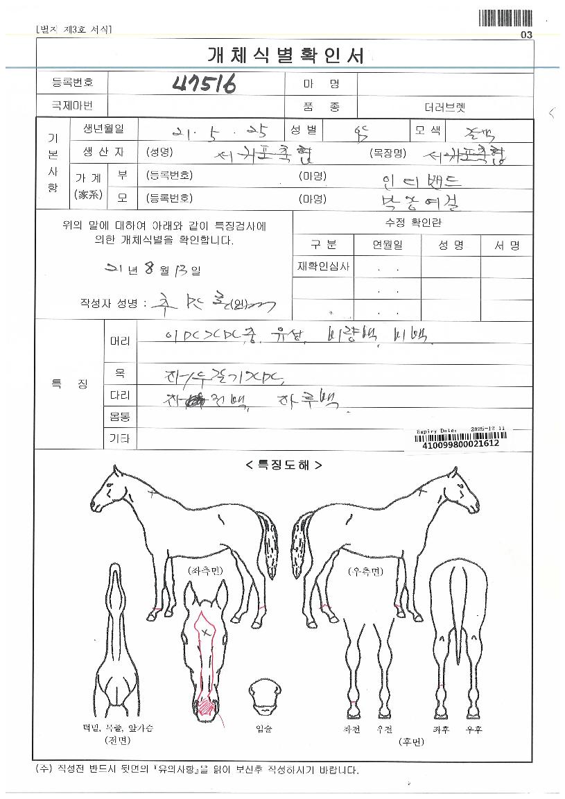 ���������ڸ��� ����,���,�޸�,�λ�,�ٸ��� Ư¡����