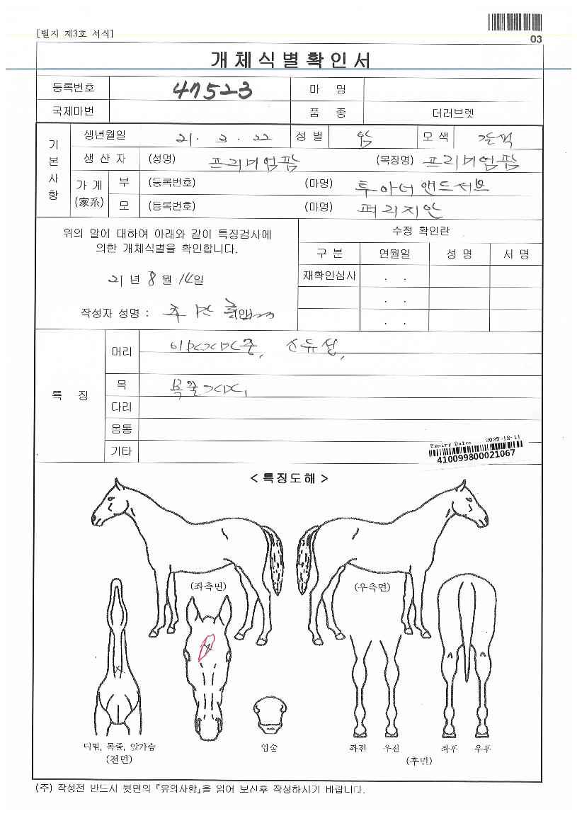 �����̵��̳��� ����,���,�޸�,�λ�,�ٸ��� Ư¡����