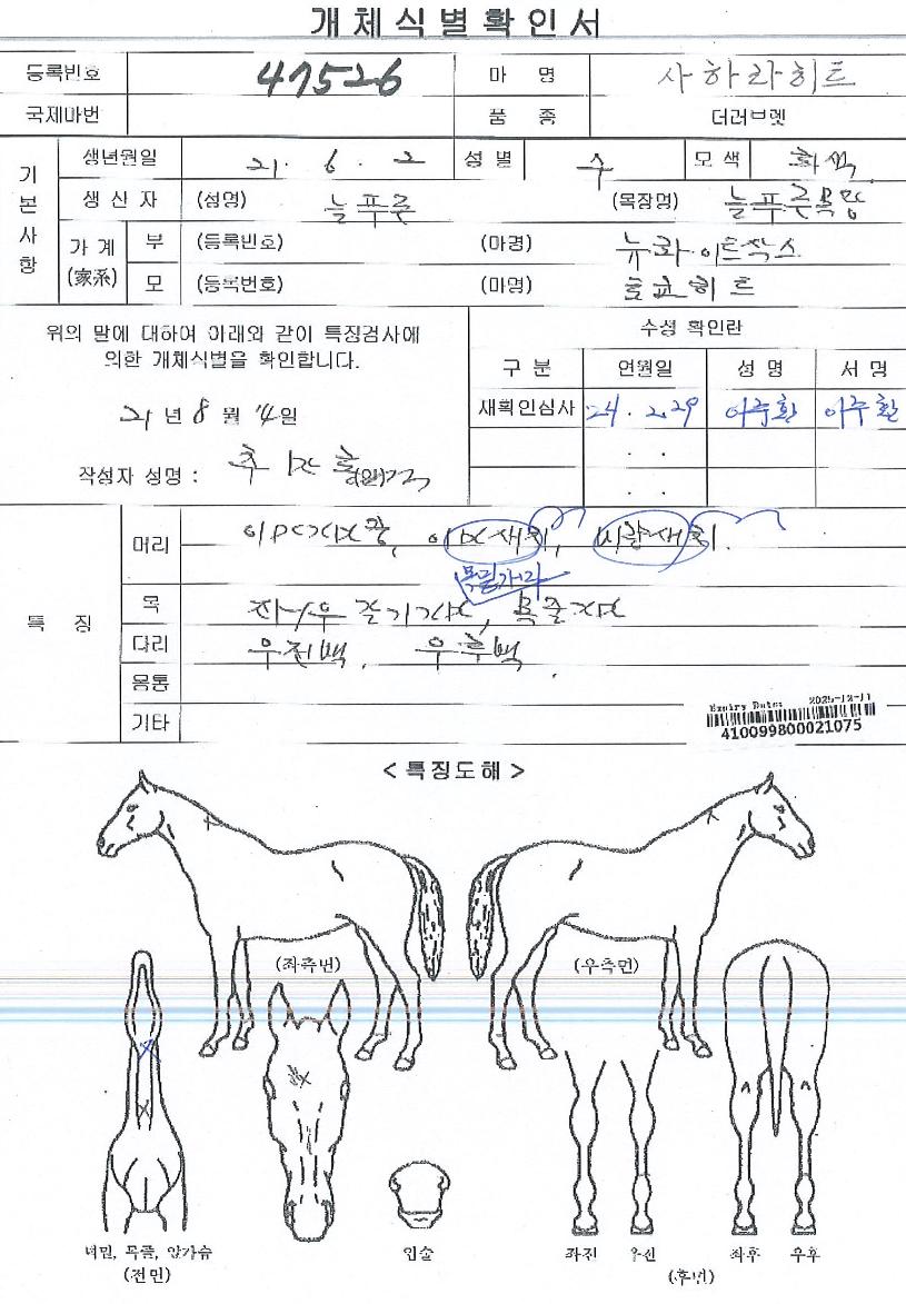 »çÇ϶óÈ÷Æ®ÀÇ Ãø¸é,¿ì¸é,µÞ¸é,µÎ»ó,´Ù¸®ÀÇ Æ¯Â¡µµÇØ