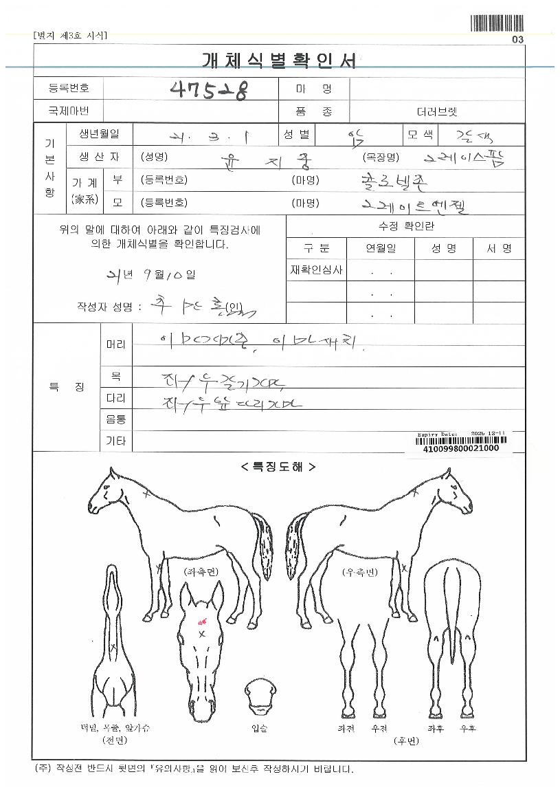 ¿ùµå¿£Á©Ä¹ÀÇ Ãø¸é,¿ì¸é,µÞ¸é,µÎ»ó,´Ù¸®ÀÇ Æ¯Â¡µµÇØ