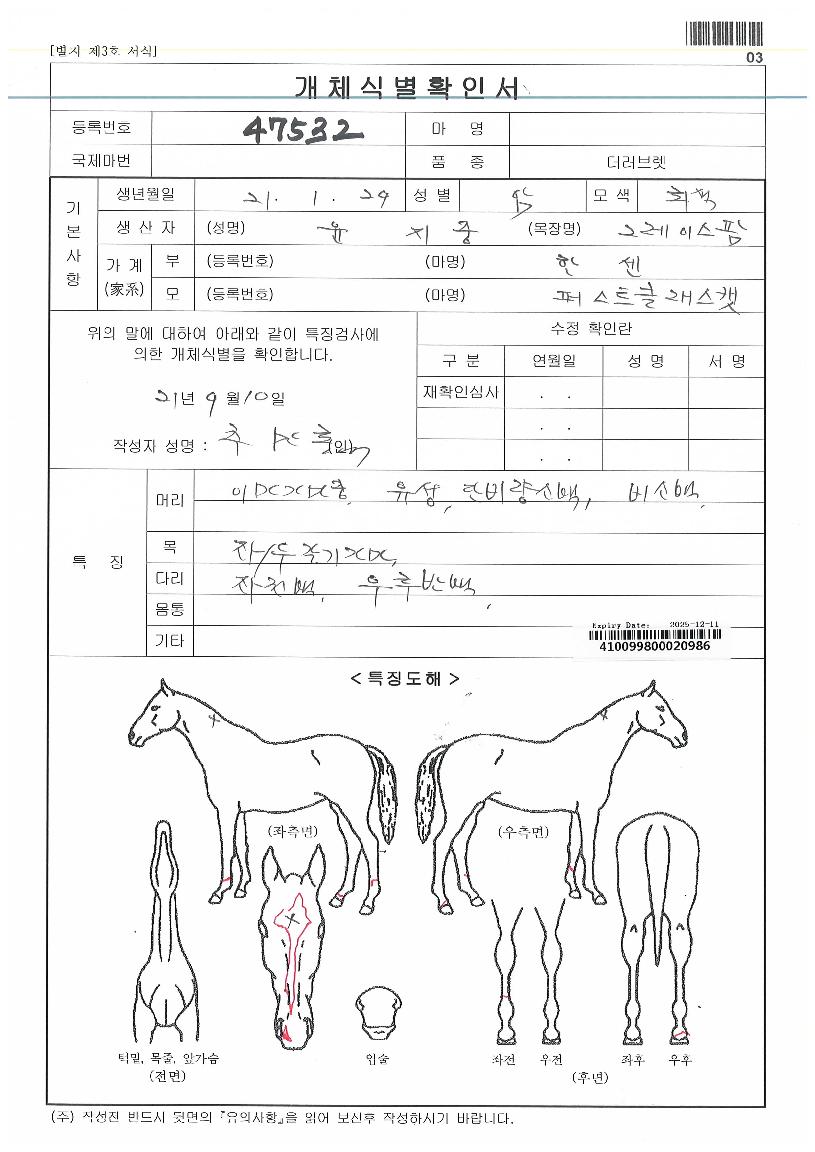 ¿ùµåÆÛ½ºÆ®Ä¹ÀÇ Ãø¸é,¿ì¸é,µÞ¸é,µÎ»ó,´Ù¸®ÀÇ Æ¯Â¡µµÇØ