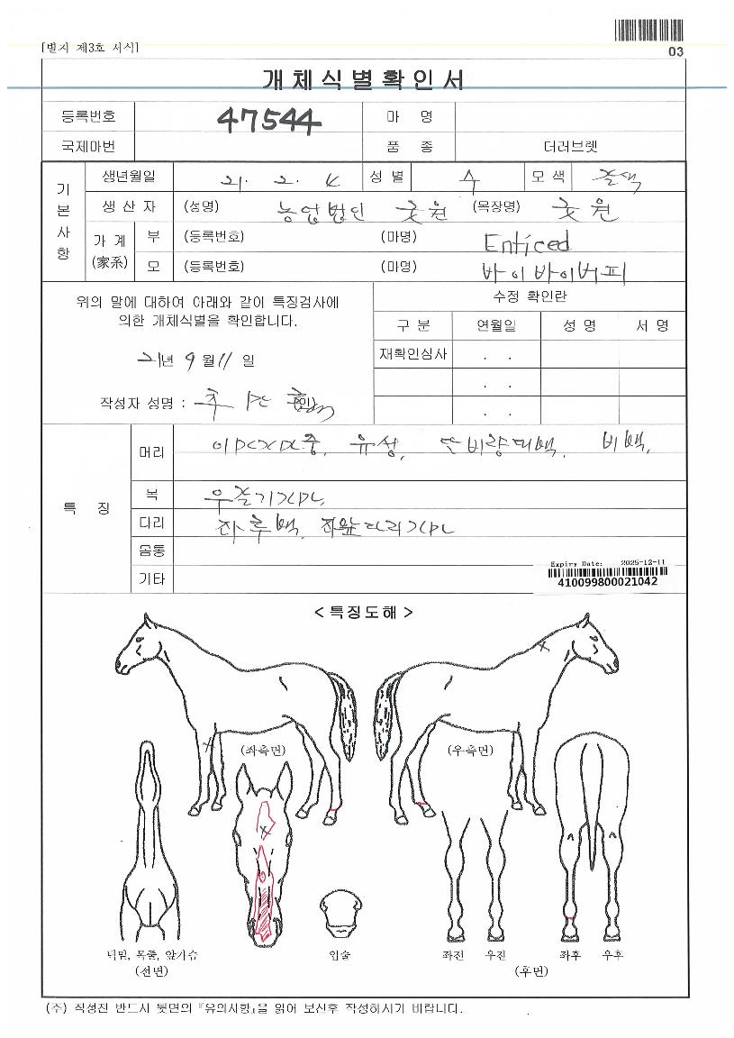 ���̹��̹����ڸ��� ����,���,�޸�,�λ�,�ٸ��� Ư¡����